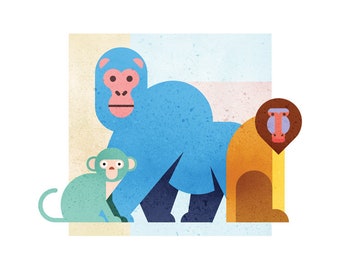 Monkey, chimpanzee and baboon print. Illustration of watercolor effect animals. Print 30x40cm. Art and home decoration.