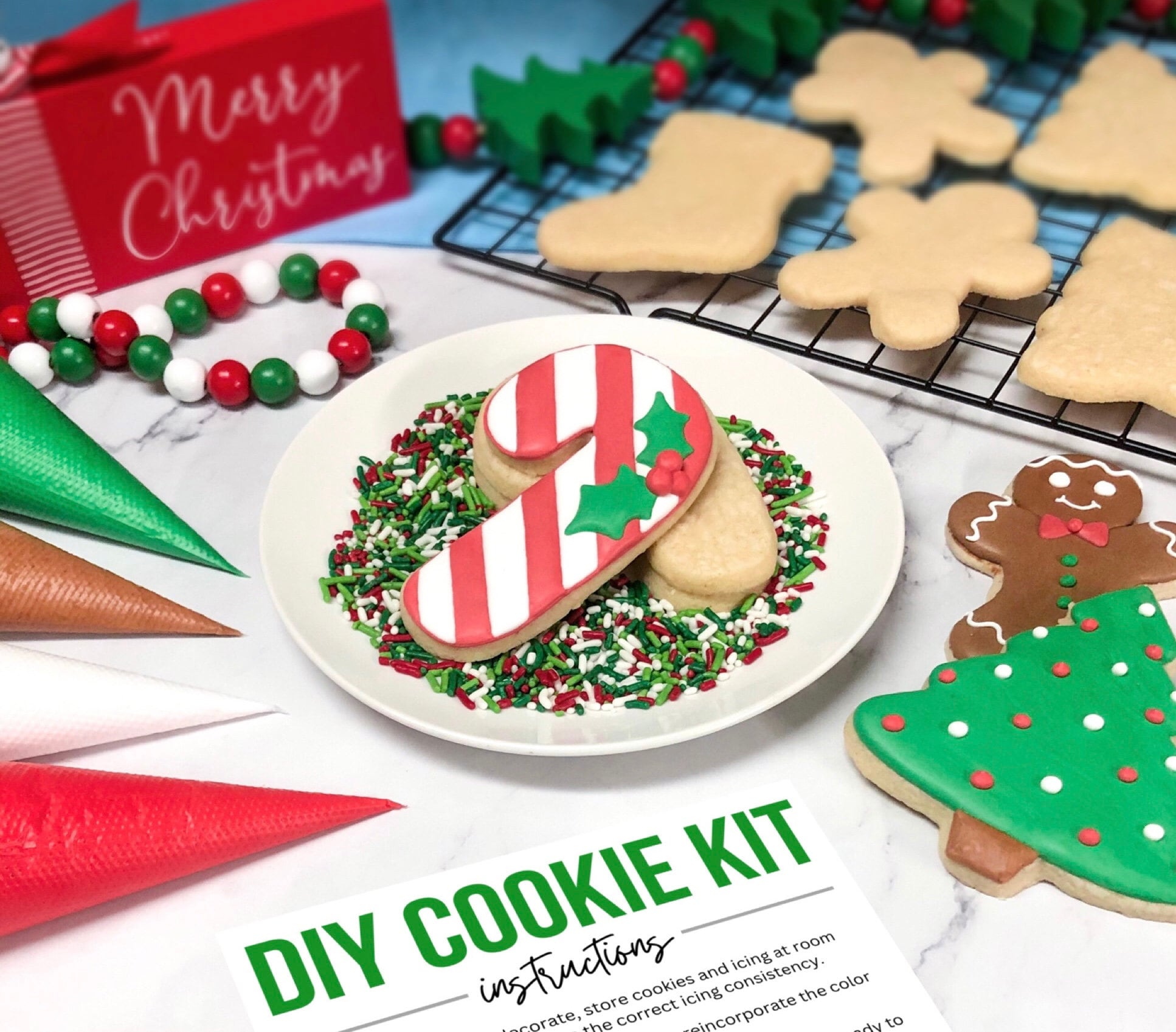 DIY Christmas Cookie Kit - Decorate Your Own Cookies | One Dozen - Etsy