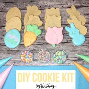 DIY Easter Cookie Kit - Decorate Your Own Cookies | One Dozen - Etsy