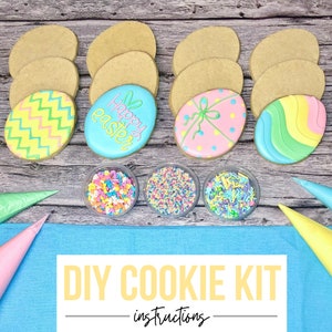 DIY Easter Egg Cookie Kit - Decorate Your Own Cookies | One Dozen - Etsy