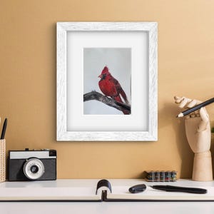 The Cardinal Bird