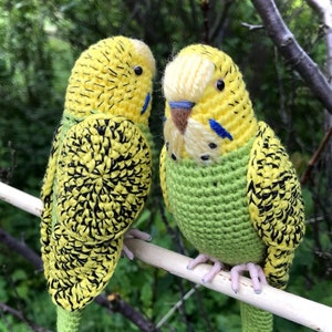 Green yellow budgie bird  crochet budgie parakeet stuffed animal budgie pet plush toy budgie owner's good gift idea
