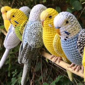 Customized budgie pets crochet personalizable budgie bird  parakeet stuffed animal toy budgie bird plushie personalized gift idea