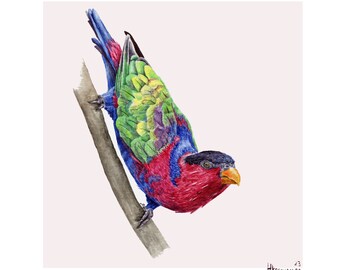 Lory bird arte de pared imprimible original acuarela realista colección de animales de la selva colorida