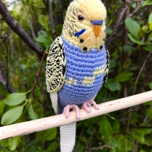 Customized budgie pets crochet personalizable budgie bird parakeet stuffed animal toy budgie bird plushie personalized gift idea image 3