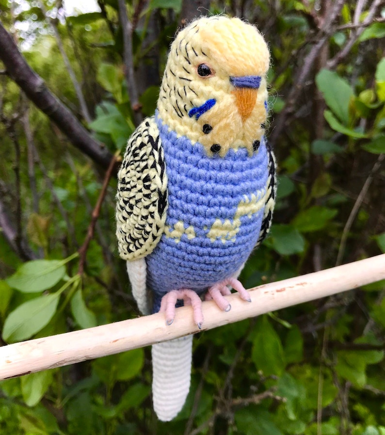Customized budgie pets crochet personalizable budgie bird parakeet stuffed animal toy budgie bird plushie personalized gift idea image 3