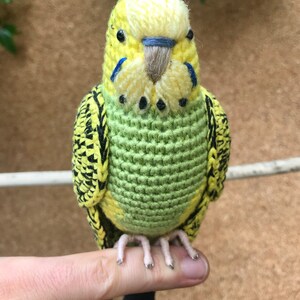 Customized budgie pets crochet personalizable budgie bird parakeet stuffed animal toy budgie bird plushie personalized gift idea image 5