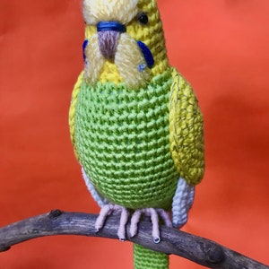 Customized budgie pets crochet personalizable budgie bird parakeet stuffed animal toy budgie bird plushie personalized gift idea image 8