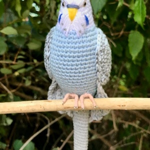 Customized budgie pets crochet personalizable budgie bird parakeet stuffed animal toy budgie bird plushie personalized gift idea image 6