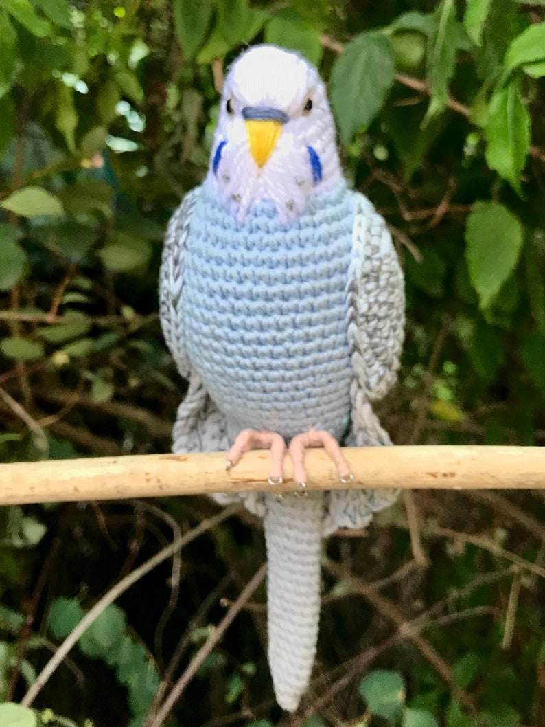 Customized budgie pets crochet personalizable budgie bird parakeet stuffed animal toy budgie bird plushie personalized gift idea image 6