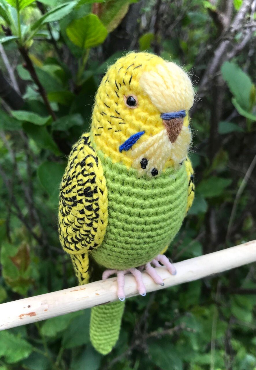 在庫限り セキセイインコ あみぐるみ ヘアゴム二個