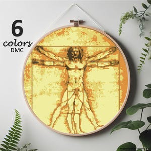 Può includere: Un telaio da ricamo a punto croce con l'Uomo Vitruviano di Leonardo da Vinci nei toni del giallo e del marrone. Il testo "6 colori DMC" è visualizzato a sinistra. L'opera è incorniciata in un telaio di legno.