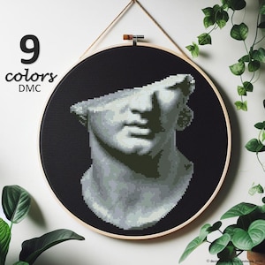May include: A cross-stitch embroidery hoop featuring a grayscale pixelated bust of a classical statue against a black background. The text "9 colors DMC" is displayed on the left. The hoop is suspended by a natural twine.