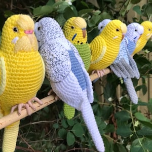 Customized budgie pets crochet personalizable budgie bird parakeet stuffed animal toy budgie bird plushie personalized gift idea image 2