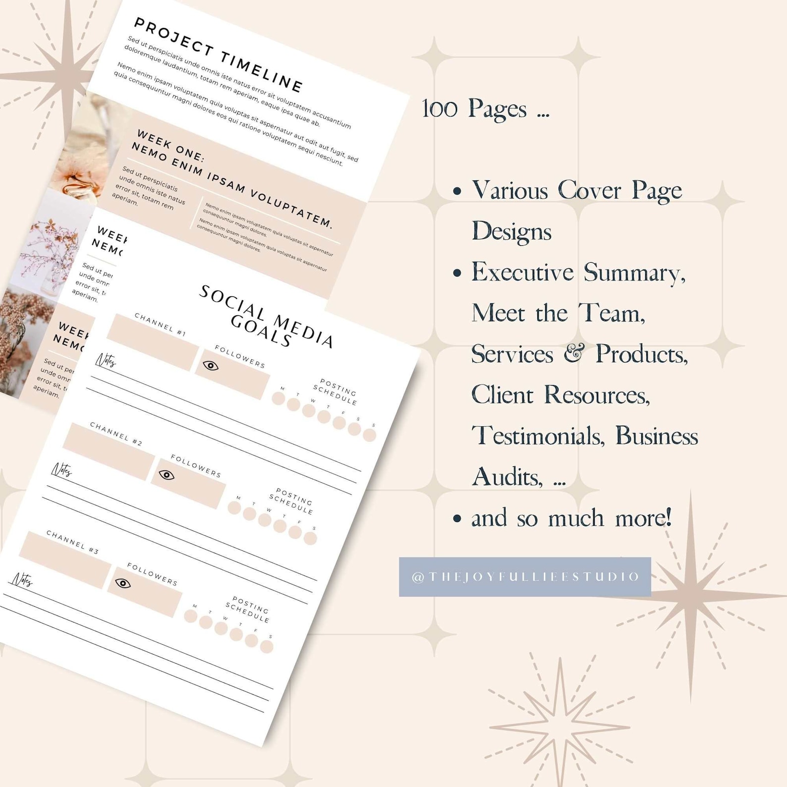 Virtual Assistant Business Plan Pdf Business Plan Template, Virtual Assistant Template, Editable Business