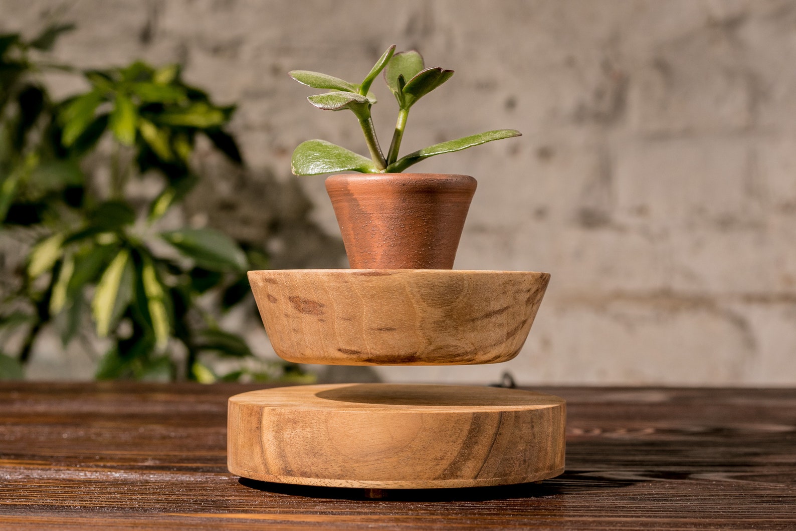 Levitating plant pot Floating Flower Pot Float Pot Floating Etsy