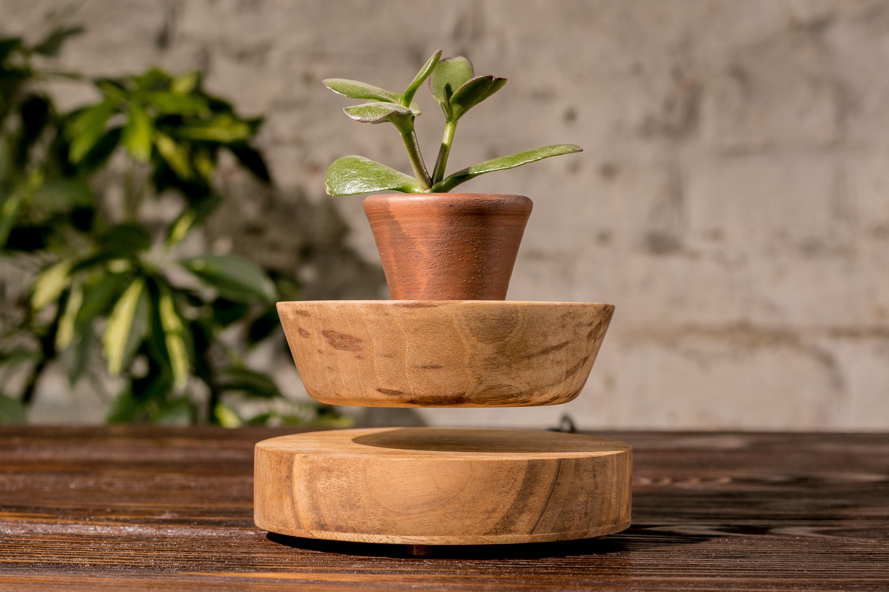 Levitation plant pot Relax-Decor™ – RelaxDec