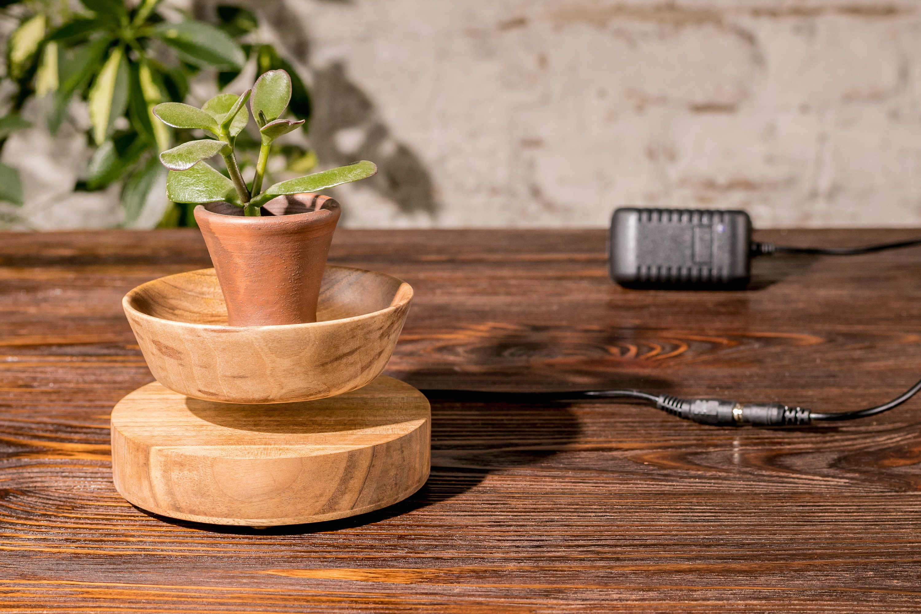 Levitating plant pot Floating Flower Pot Float Pot Floating Etsy