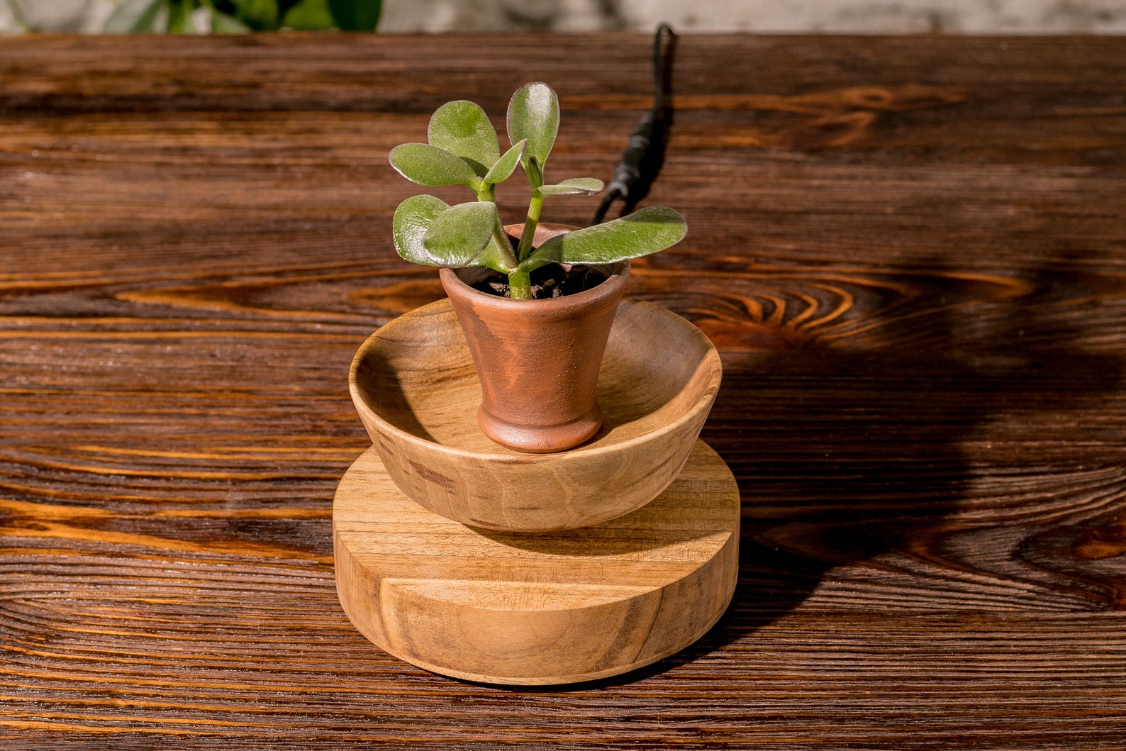Levitating plant pot Floating Flower Pot Float Pot