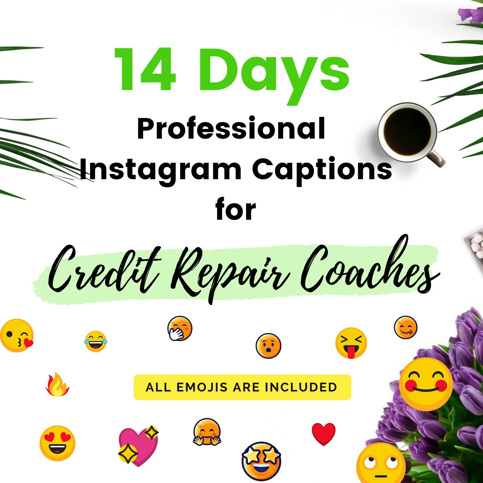 14 Day Instagram Captions Credit Repair Coaches | Etsy