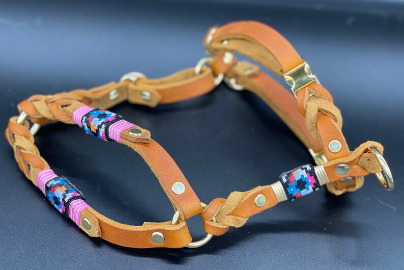 Dog harness leather tau dog harness \u2013 fat leather harness with dew leather leash in the set Retro