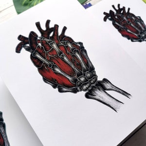 K&ouml;nnte beinhalten: Eine anatomische Illustration in Schwarzwei&szlig; einer menschlichen Hand, die ein rotes Herz h&auml;lt. Die Hand ist skelettartig, mit sichtbaren Knochen und Sehnen. Das Herz ist detailliert, mit Kammern und Gef&auml;&szlig;en.