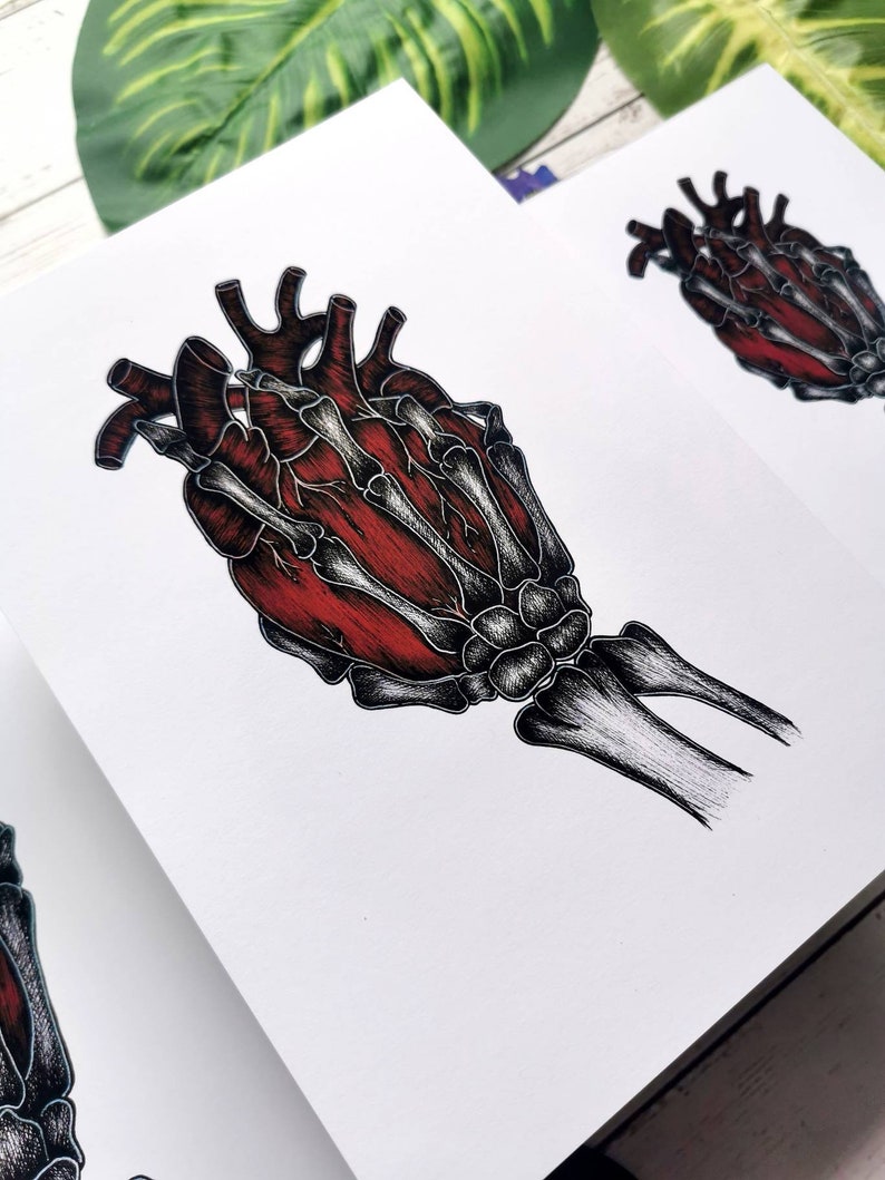 K&ouml;nnte beinhalten: Eine anatomische Illustration in Schwarzwei&szlig; einer menschlichen Hand, die ein rotes Herz h&auml;lt. Die Hand ist skelettartig, mit sichtbaren Knochen und Sehnen. Das Herz ist detailliert, mit Kammern und Gef&auml;&szlig;en.
