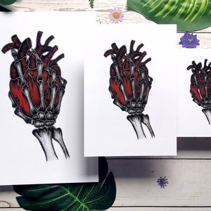 K&ouml;nnte beinhalten: Eine anatomische Illustration in Schwarzwei&szlig; einer menschlichen Hand, die ein rotes Herz h&auml;lt. Das Herz ist detailliert mit Adern und Arterien. Die Hand ist skelettartig, mit sichtbaren Knochen und Sehnen.