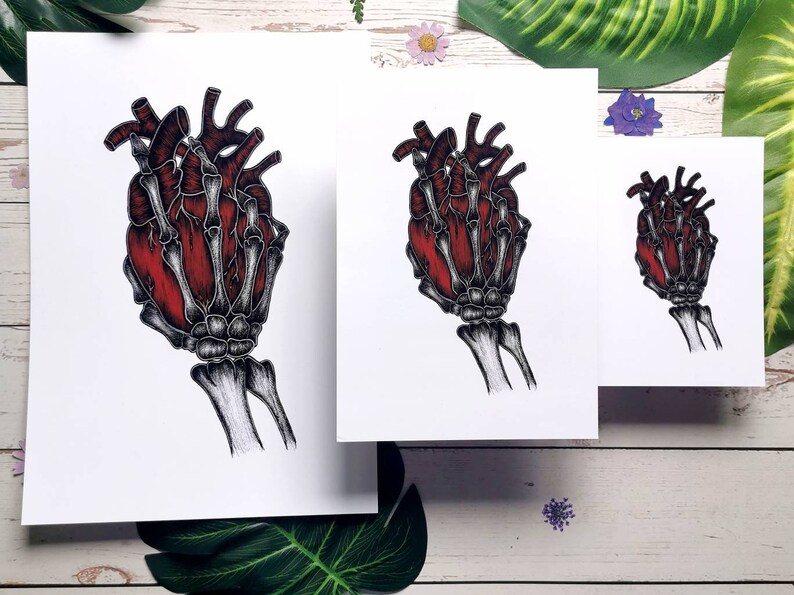 K&ouml;nnte beinhalten: Eine anatomische Illustration in Schwarzwei&szlig; einer menschlichen Hand, die ein rotes Herz h&auml;lt. Das Herz ist detailliert mit Adern und Arterien. Die Hand ist skelettartig, mit sichtbaren Knochen und Sehnen.