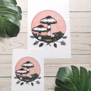 May include: A hand-drawn illustration of three mushrooms with white caps and brown stems, surrounded by green leaves and berries, set against a pink background.