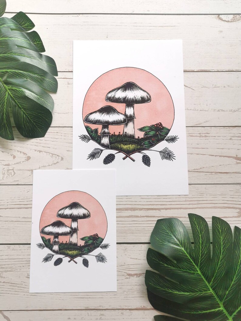 May include: A hand-drawn illustration of three mushrooms with white caps and brown stems, surrounded by green leaves and berries, set against a pink background.