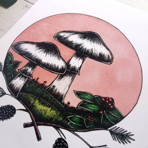 May include: A hand-drawn illustration of two mushrooms with white caps and black stems against a pink background. The mushrooms are surrounded by green foliage and berries.
