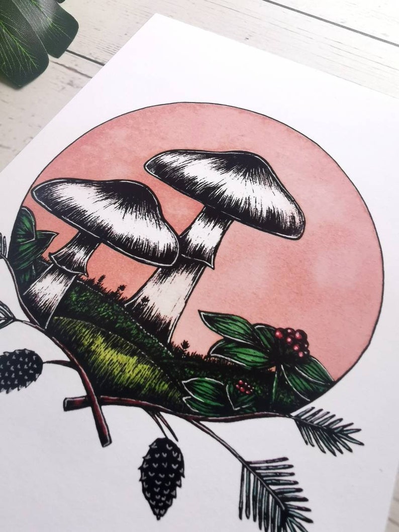 May include: A hand-drawn illustration of two mushrooms with white caps and black stems against a pink background. The mushrooms are surrounded by green foliage and berries.