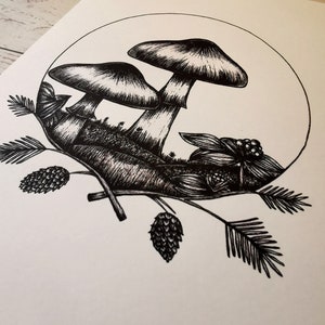 May include: Black and white ink drawing of three mushrooms in a forest setting. The mushrooms are drawn with detail and texture, and the background includes pine needles, pine cones, and other foliage.