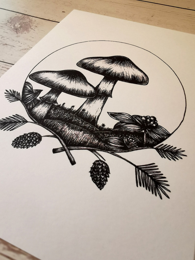 May include: Black and white ink drawing of three mushrooms in a forest setting. The mushrooms are drawn with detail and texture, and the background includes pine needles, pine cones, and other foliage.