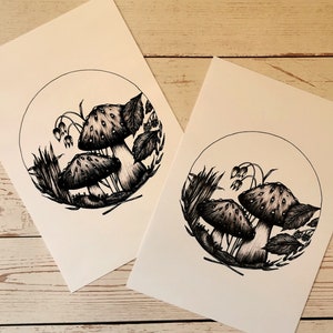 May include: Two black and white ink drawings of mushrooms in a circle. The mushrooms are surrounded by leaves, grass, and flowers.