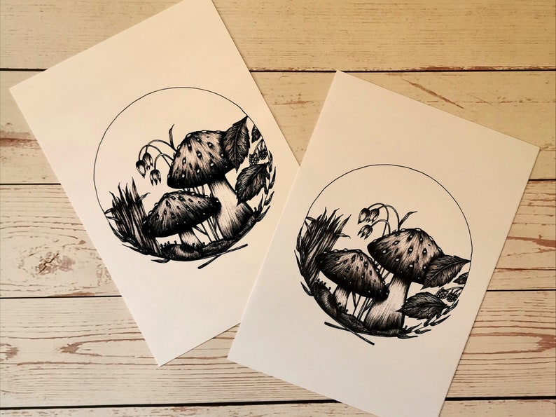 May include: Two black and white ink drawings of mushrooms in a circle. The mushrooms are surrounded by leaves, grass, and flowers.