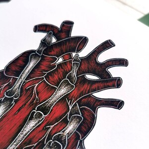 K&ouml;nnte beinhalten: Eine detaillierte anatomische Illustration eines menschlichen Herzens mit ineinander verschlungenen Skelettknochen. Das Herz ist in Rot-T&ouml;nen dargestellt, w&auml;hrend die Knochen in Schwarzwei&szlig; wiedergegeben sind.