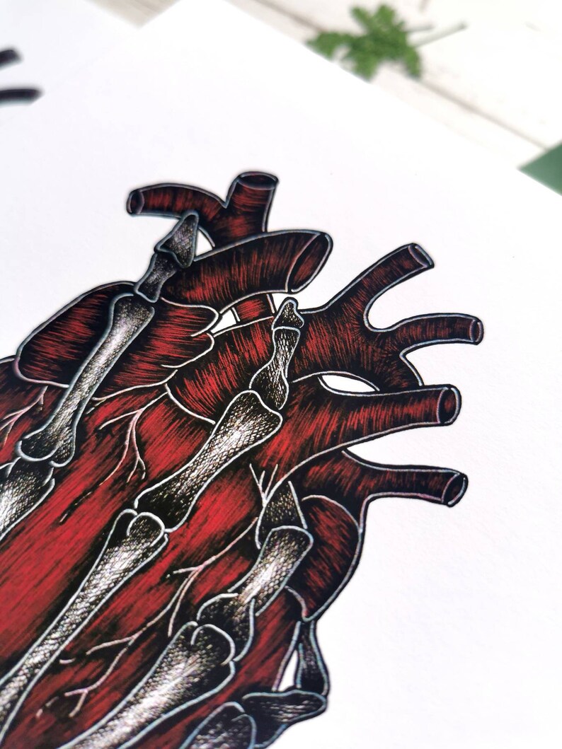 K&ouml;nnte beinhalten: Eine detaillierte anatomische Illustration eines menschlichen Herzens mit ineinander verschlungenen Skelettknochen. Das Herz ist in Rot-T&ouml;nen dargestellt, w&auml;hrend die Knochen in Schwarzwei&szlig; wiedergegeben sind.