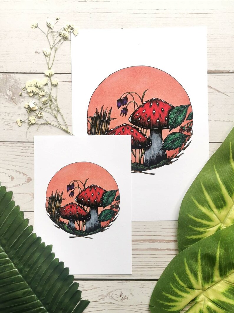 May include: Two red and white mushrooms with white spots, surrounded by green leaves and a pink background. The mushrooms are in a circle with a brown outline.