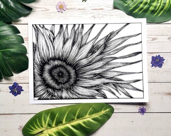Könnte beinhalten: Eine Schwarzweiß-Zeichnung einer Sonnenblume mit Blütenblättern, die vom Zentrum nach außen strahlen. Die Sonnenblume ist realistisch gezeichnet, mit detaillierten Linien und Schattierungen.