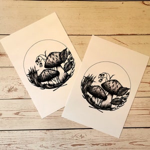 May include: Two black and white ink drawings of mushrooms in a circle with leaves and stems. The drawings are on white paper.