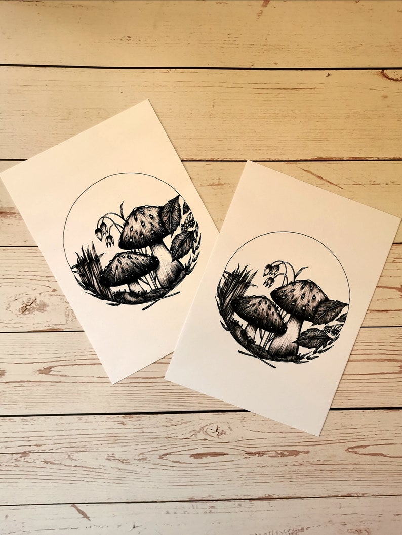 May include: Two black and white ink drawings of mushrooms in a circle with leaves and stems. The drawings are on white paper.