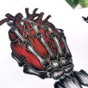 K&ouml;nnte beinhalten: Eine detaillierte anatomische Illustration eines menschlichen Herzens mit Skelettknochen, in roter und schwarzer Tinte gezeichnet.