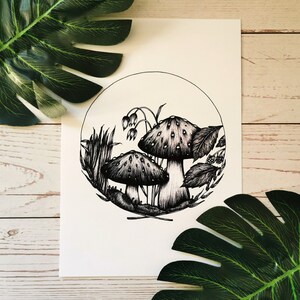 May include: Black and white ink drawing of two mushrooms in a forest setting. The mushrooms have white spots and are surrounded by leaves, grass, and flowers.