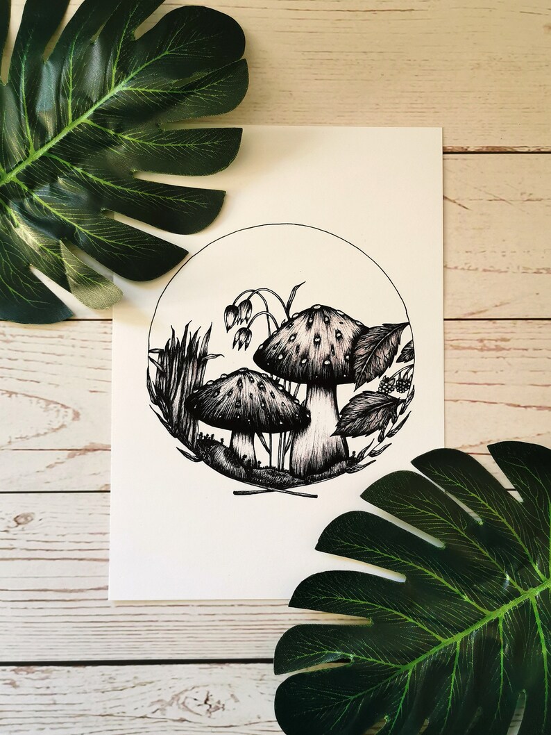 May include: Black and white ink drawing of two mushrooms in a forest setting. The mushrooms have white spots and are surrounded by leaves, grass, and flowers.