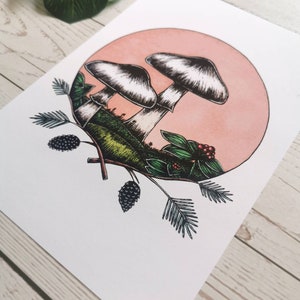 May include: A hand-drawn illustration of three mushrooms with white stems and brown caps, set against a pink background. The mushrooms are surrounded by green foliage, including pine needles and berries.
