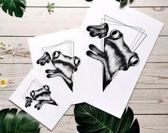 Könnte beinhalten: Drei Schwarzweißillustrationen von Fröschen mit geometrischen Formen dahinter. Die Frösche sind detailliert mit Schattierungen und Texturen gezeichnet.
