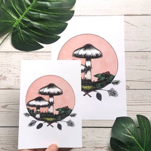 May include: Two illustrations of mushrooms with pink backgrounds. The mushrooms are white with black and white caps. The illustrations are surrounded by green leaves and black berries.