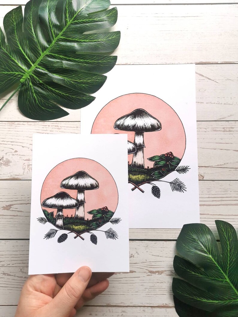 May include: Two illustrations of mushrooms with pink backgrounds. The mushrooms are white with black and white caps. The illustrations are surrounded by green leaves and black berries.